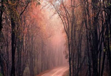 费雷斯尼主场大胜，取得连胜