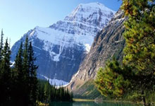 瑞典队将全力以赴，争夺胜利