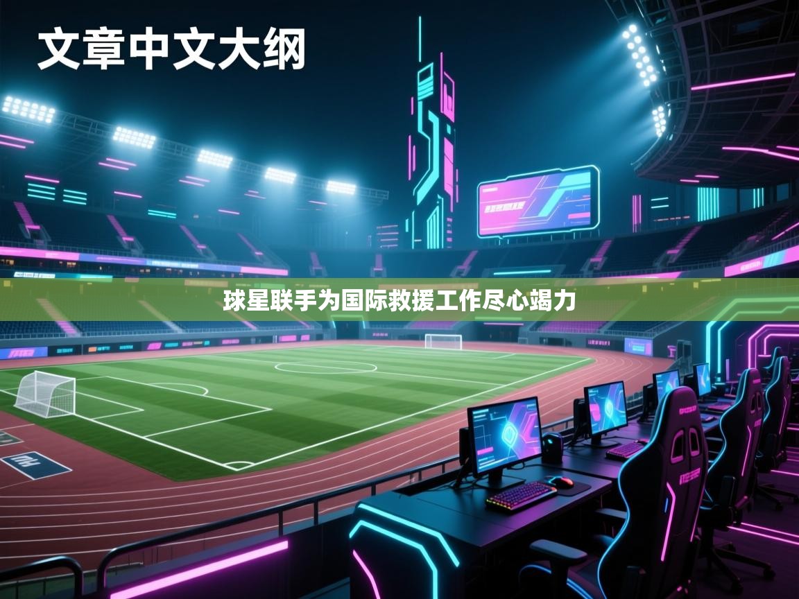 球星联手为国际救援工作尽心竭力  第2张