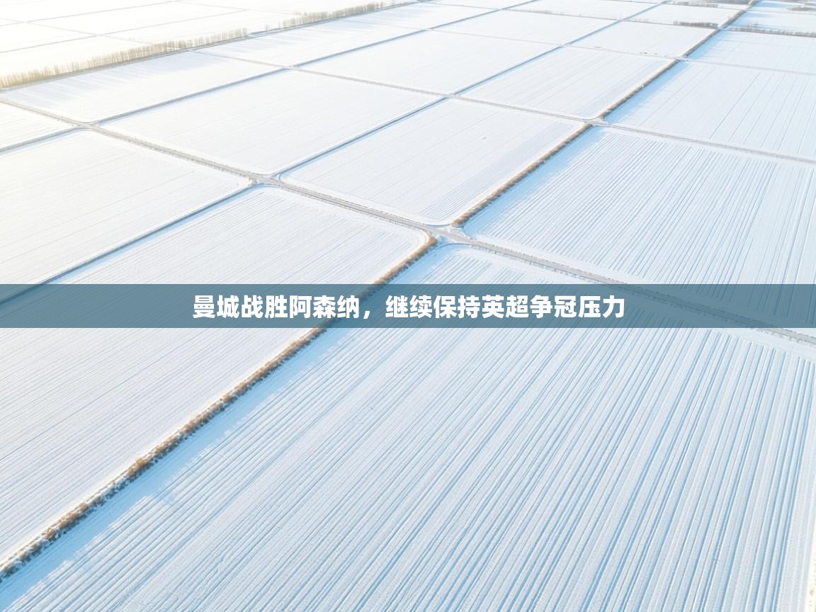 曼城战胜阿森纳，继续保持英超争冠压力  第1张