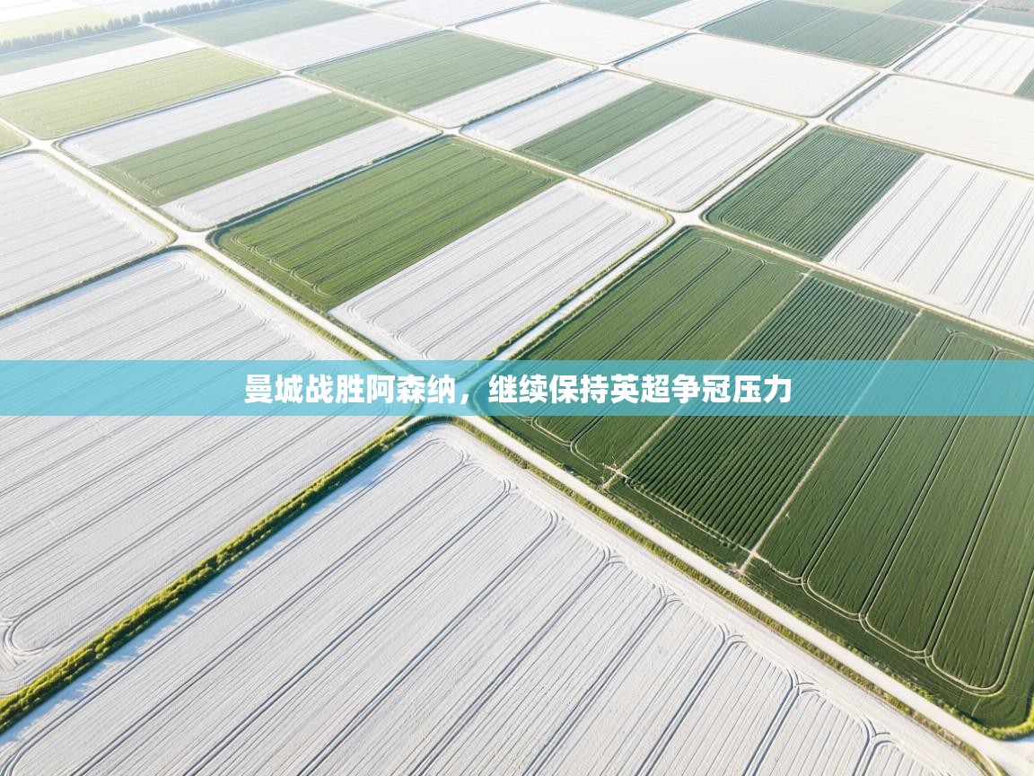 曼城战胜阿森纳，继续保持英超争冠压力  第2张