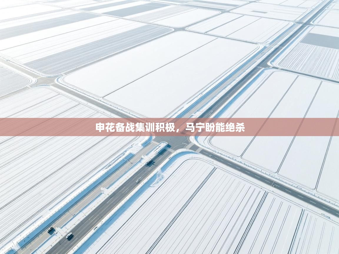 申花备战集训积极，马宁盼能绝杀