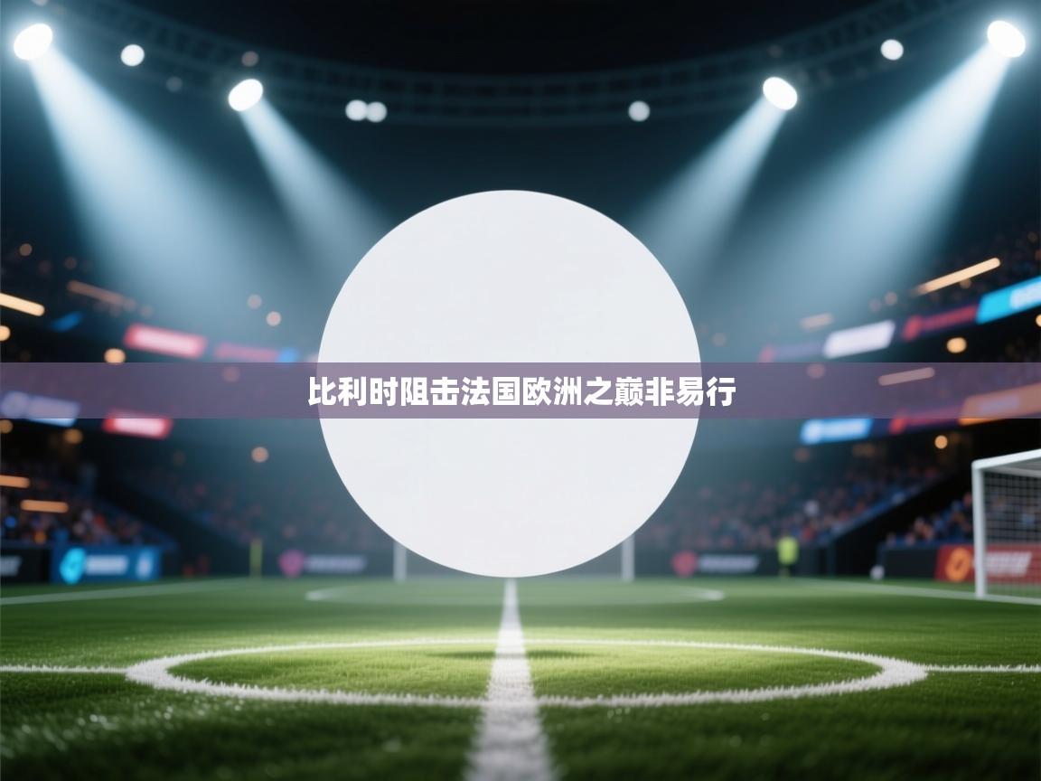 比利时阻击法国欧洲之巅非易行  第2张