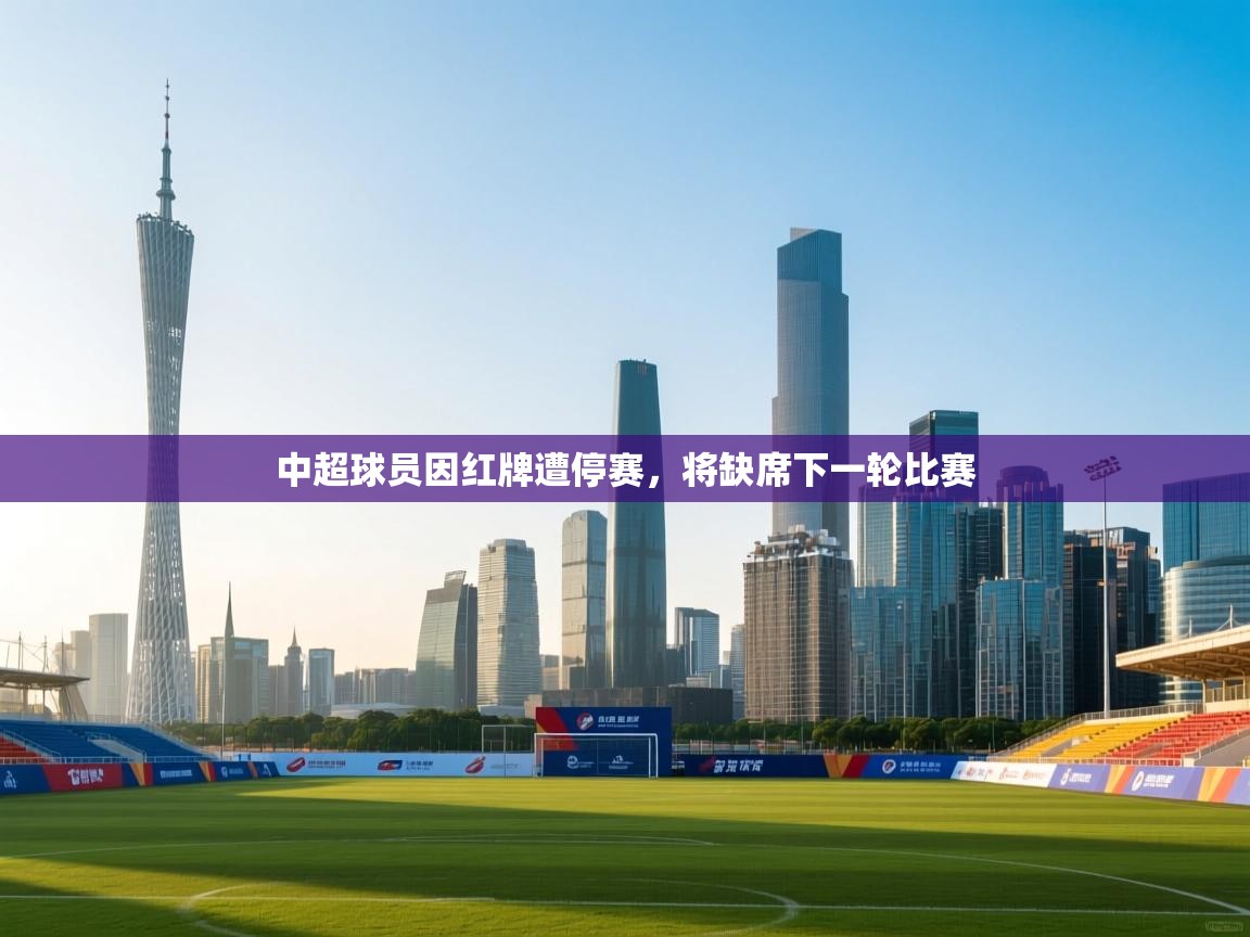 中超球员因红牌遭停赛，将缺席下一轮比赛  第2张