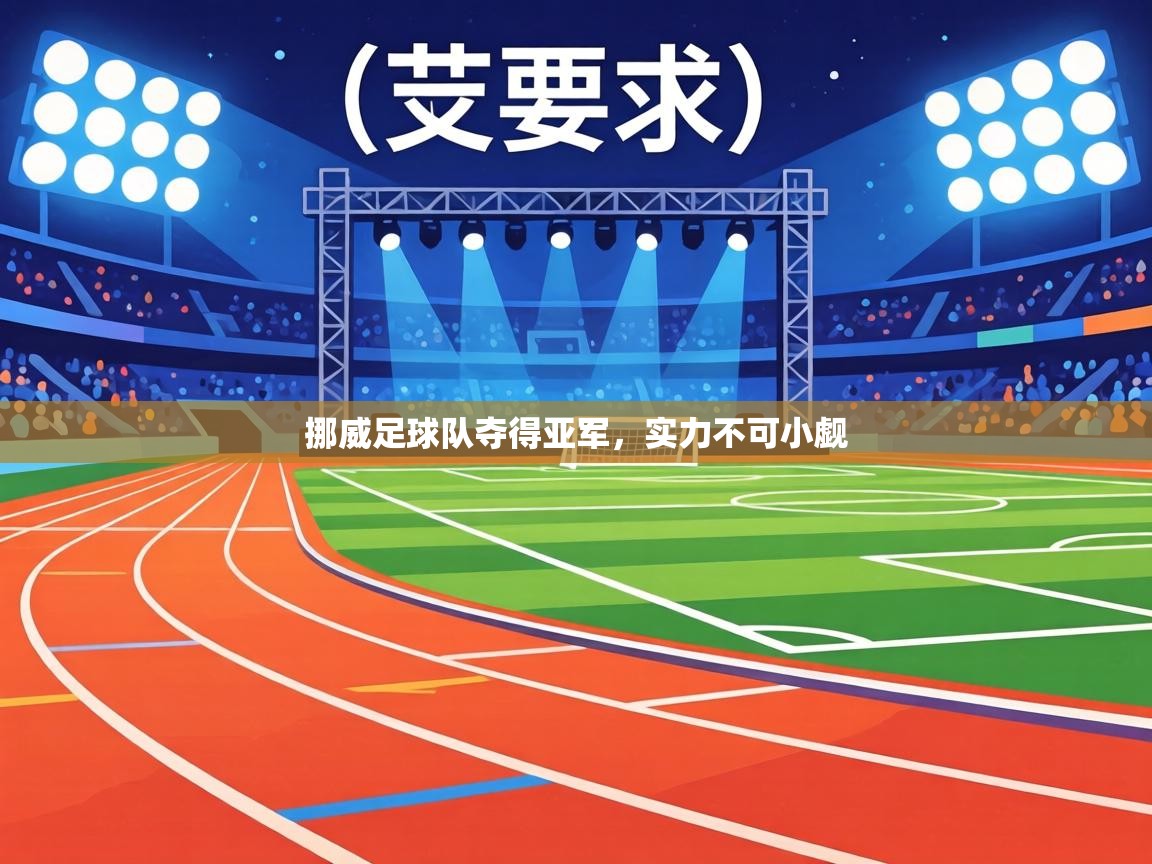 挪威足球队夺得亚军,实力不可小觑 第1张